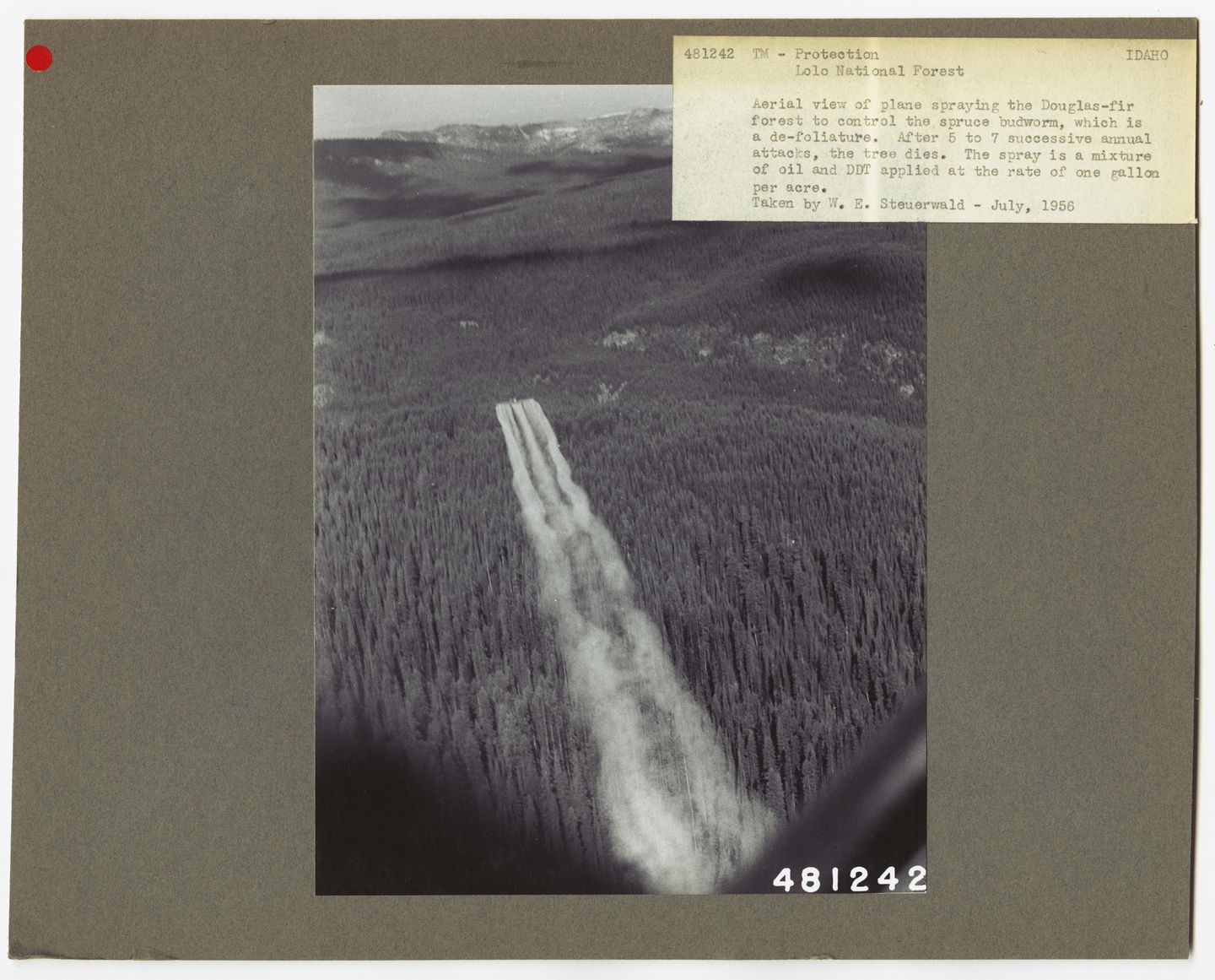 airplane releasing a cloud of ddt spray over a forest, 1956