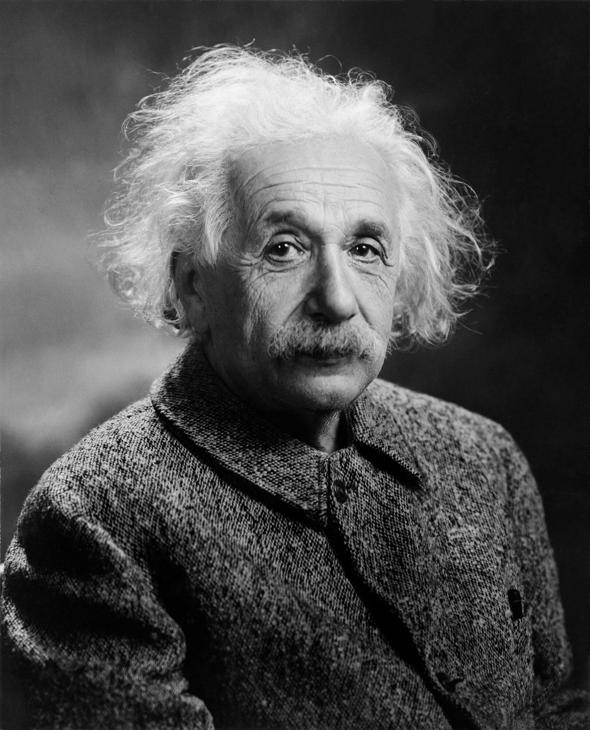 portrait of albert einstein, theoretical physicist