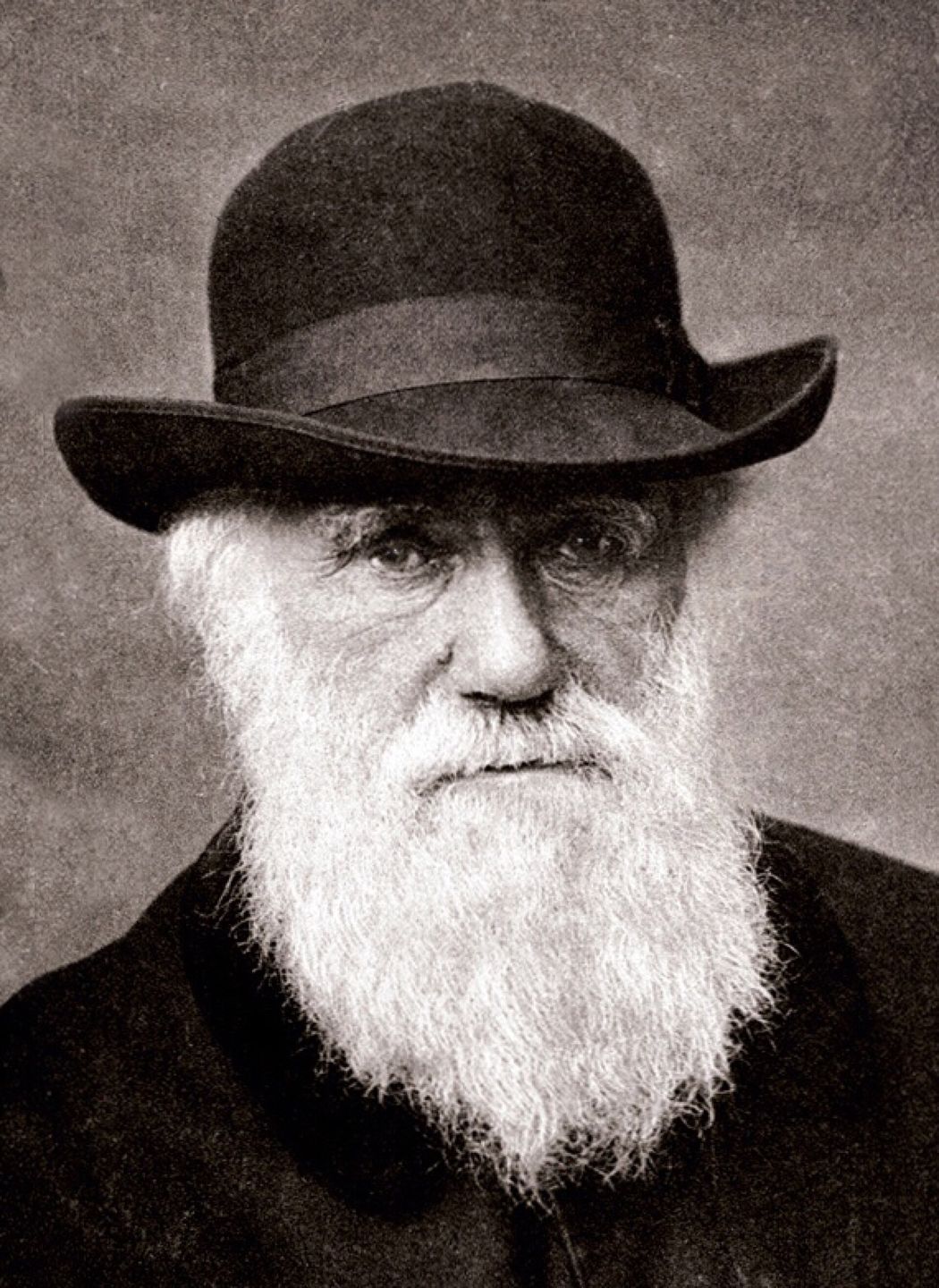 Portrait photograph of Charles Darwin taken in 1880, three years before his death