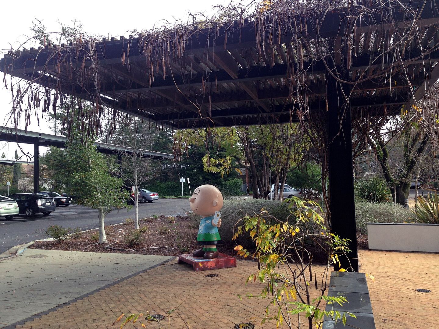 Statue of Charlie Brown at the Charles M. Schulz Museum