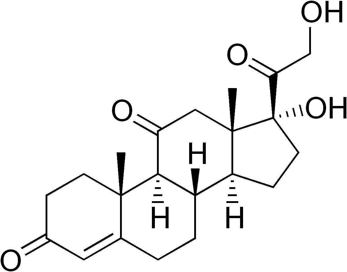 The chemical structure of cortisone