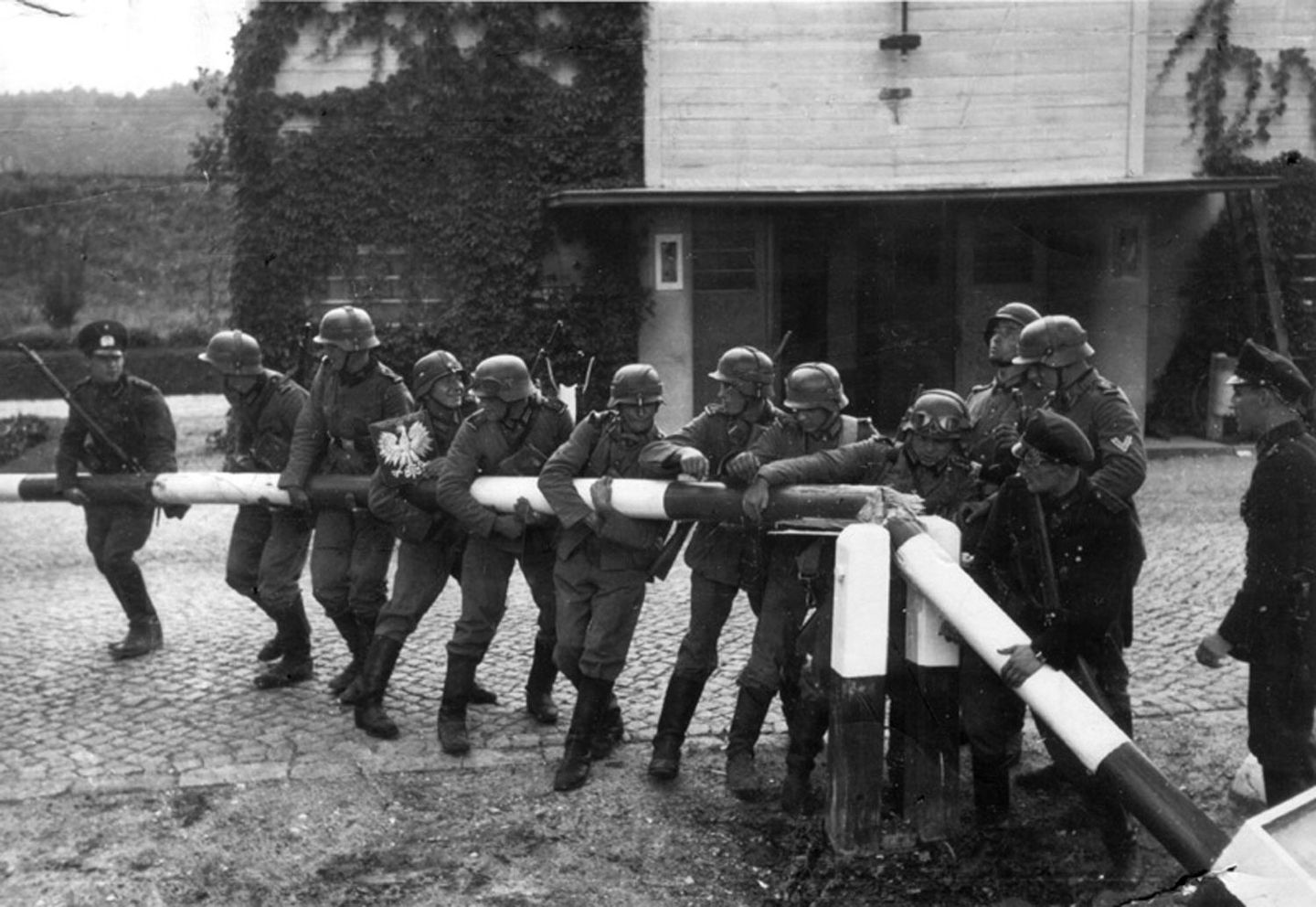 German forces preparing horses during the invasion of Poland, September 1939