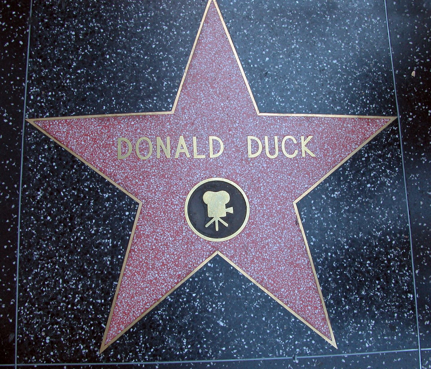 Donald Duck's star on the Hollywood Walk of Fame
