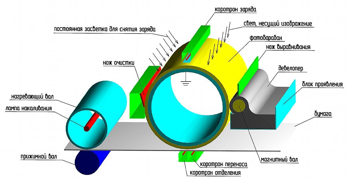 Schematic diagram of the electrophotographic process used in copiers and printers