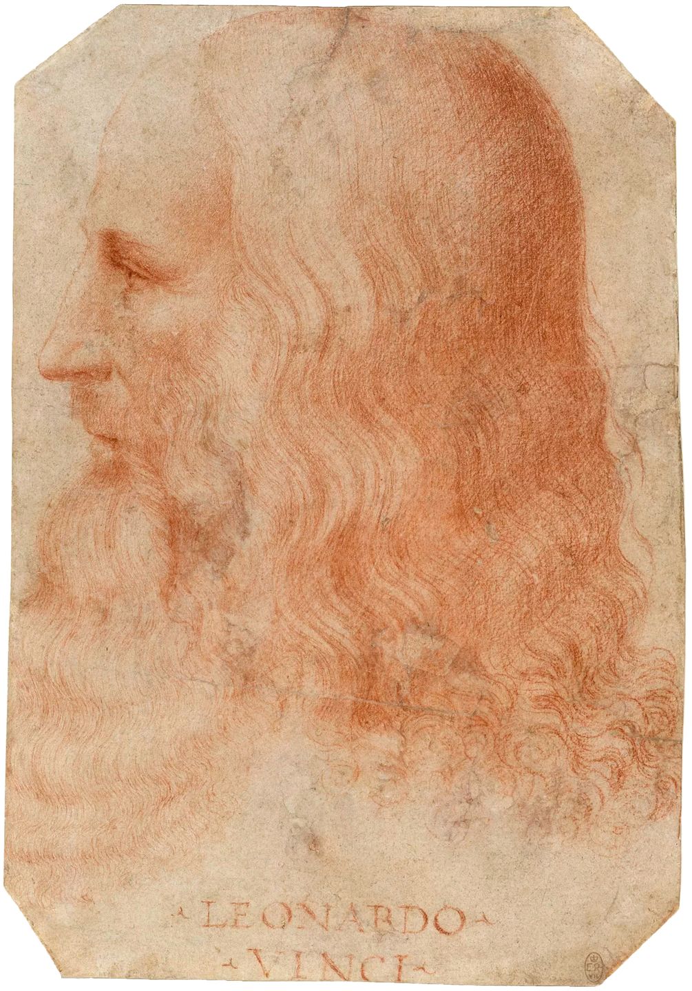 portrait of leonardo da vinci painted by his student francesco melzi