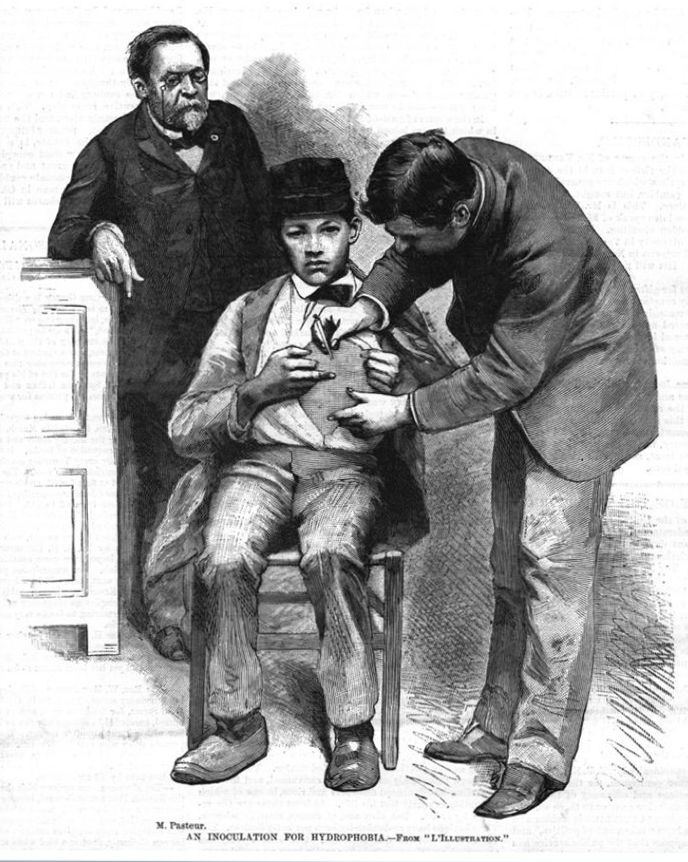 engraving of a rabies inoculation under pasteur's direction