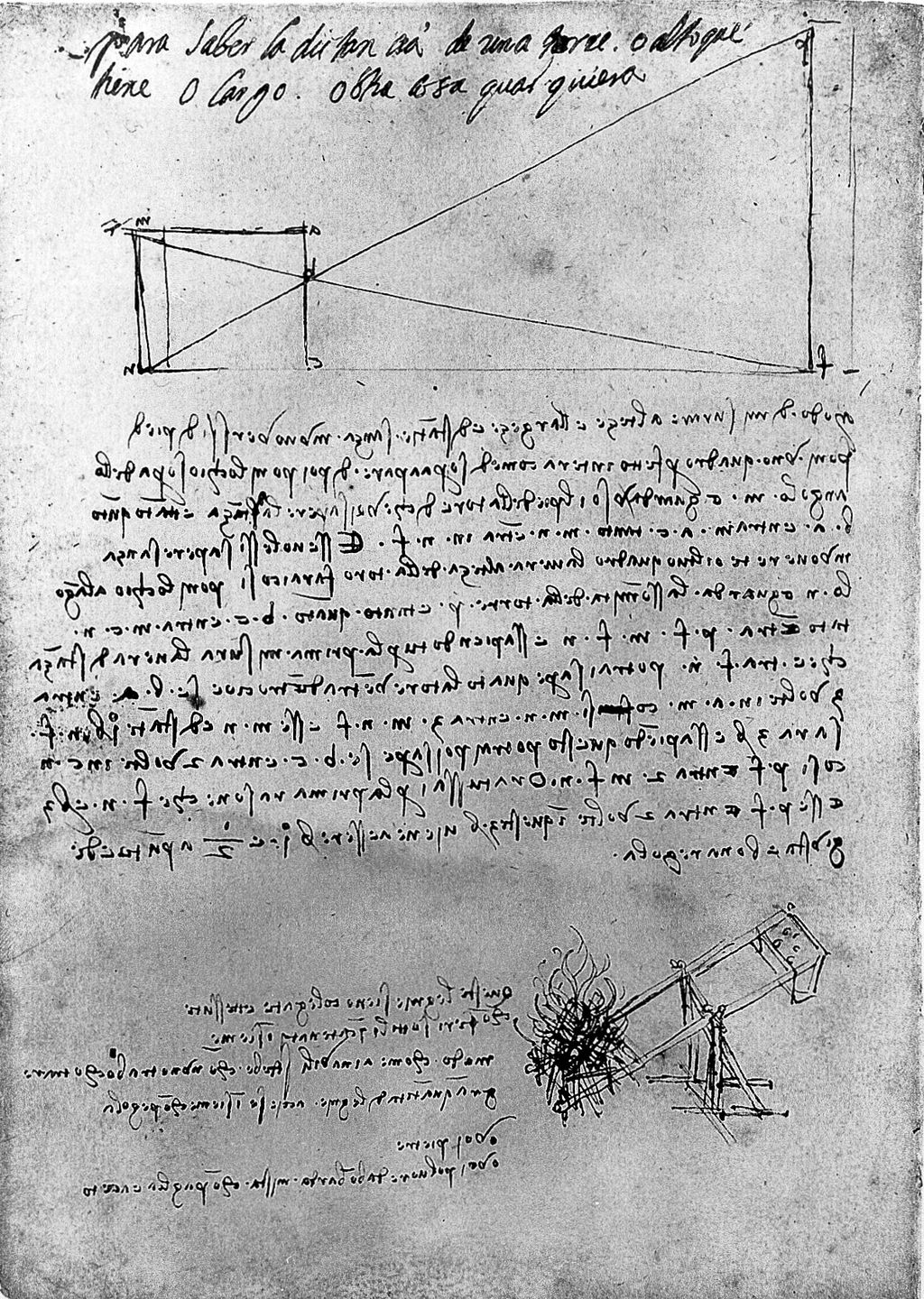 pages from leonardo da vinci's manuscript notebooks showing anatomical drawings and mirror script text