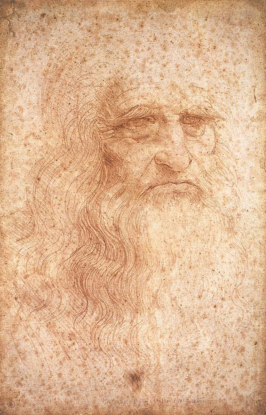 presumed self-portrait of leonardo da vinci, red chalk drawing circa 1512