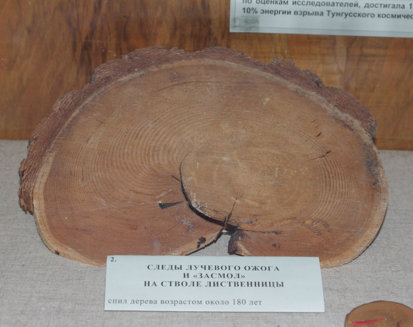 The Tunguska impact region in Siberia photographed in 2014 by a Moscow State University expedition, showing the remote forested landscape where the 1908 airburst occurred