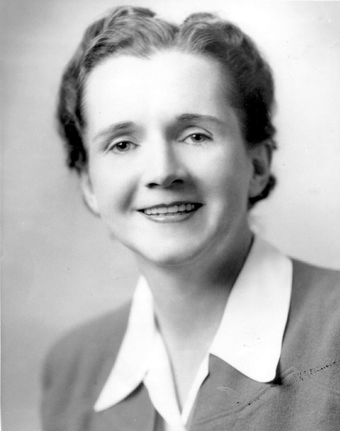 rachel carson, marine biologist and author of silent spring