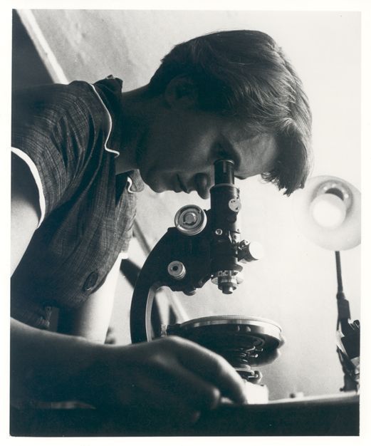 rosalind franklin, chemist whose x-ray crystallography work was essential to discovering the structure of dna