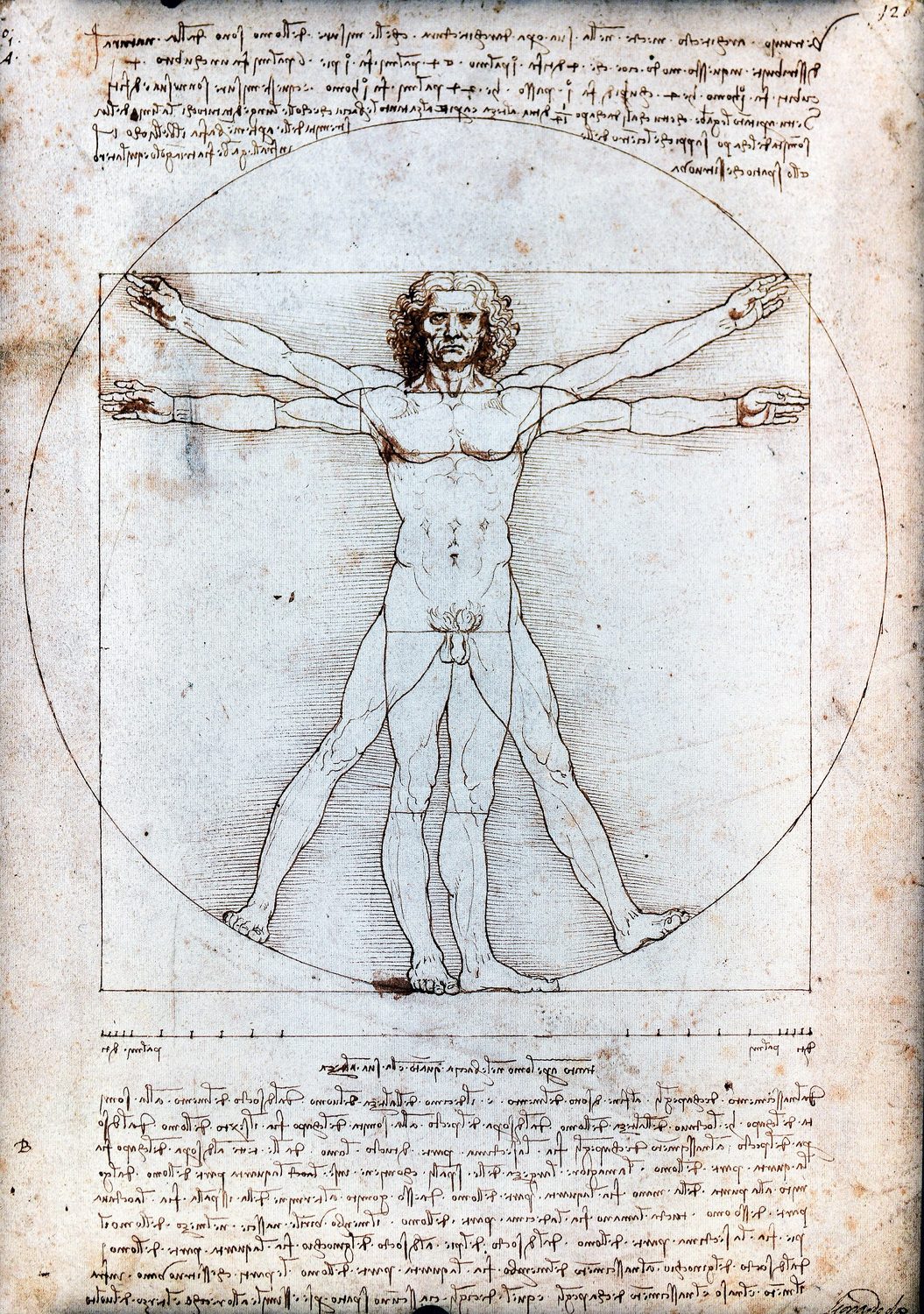 Leonardo's Vitruvian Man