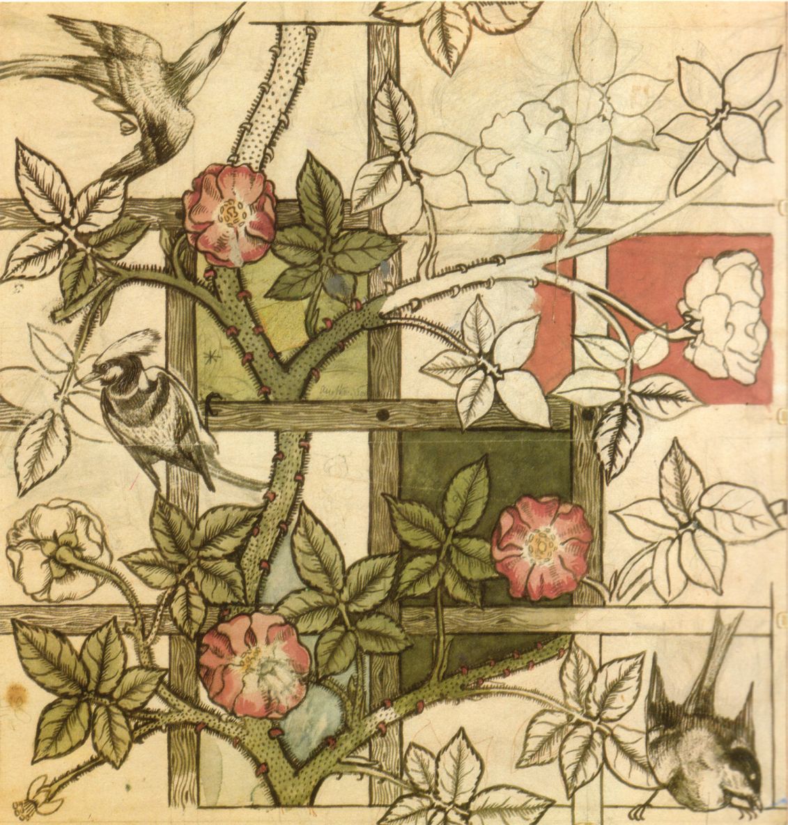 william morris's trellis wallpaper design from 1862, his first wallpaper design featuring birds and climbing roses